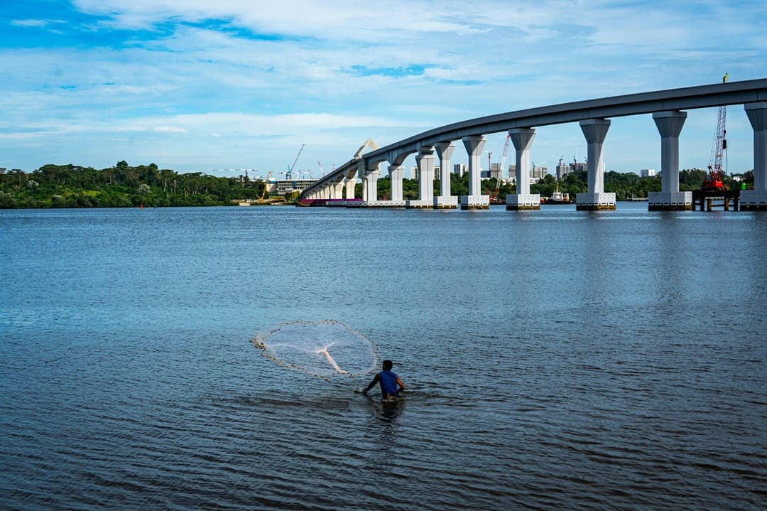 Fish Pond Background